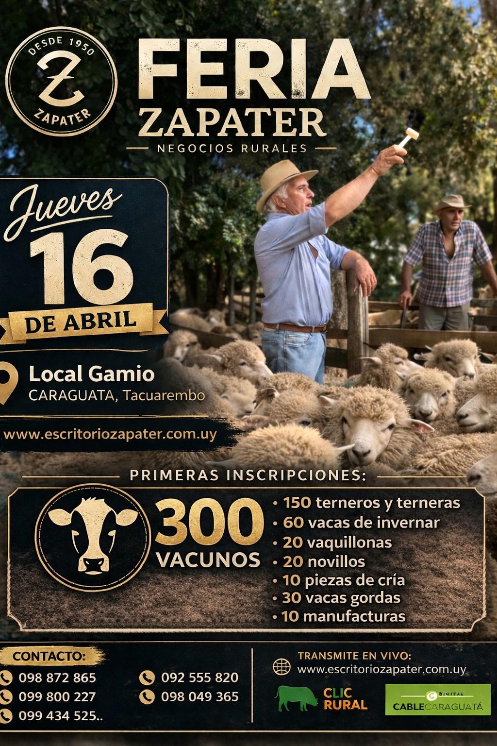 Feria mensual - Local Gamio