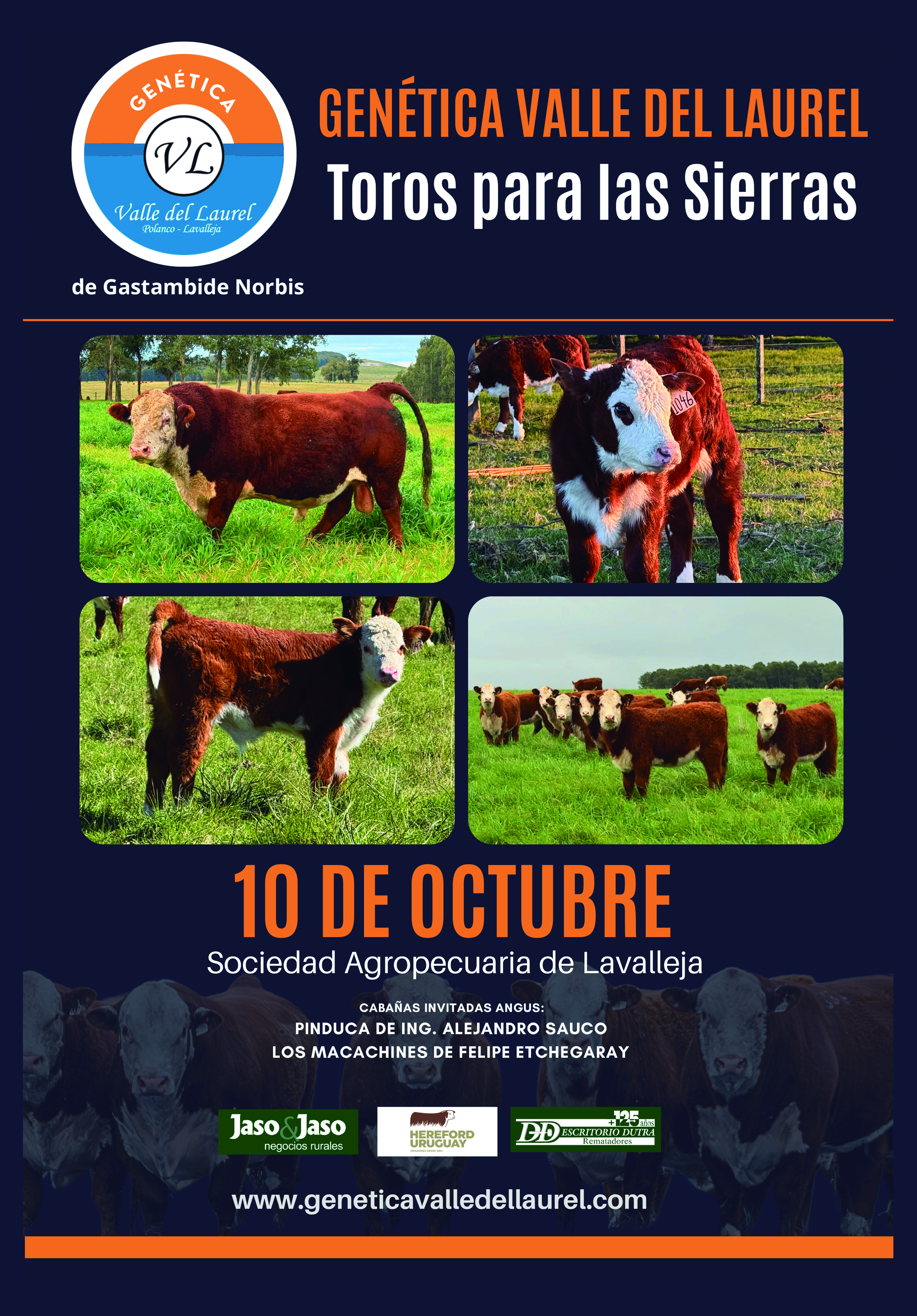 Afiche Toros para las Sierras - Valle del Laurel