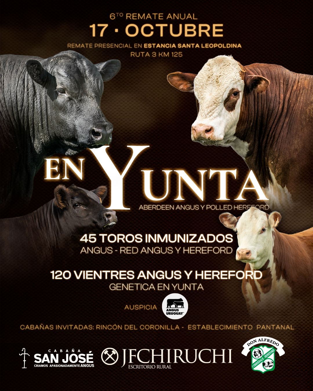 Afiche 6° REMATE EN YUNTA