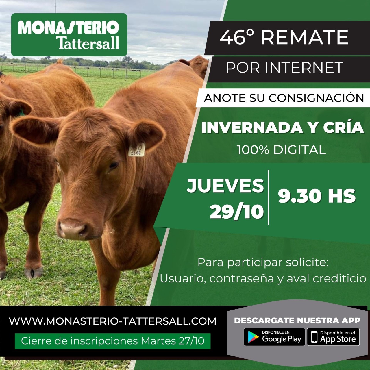 Afiche 46º Remate por internet
