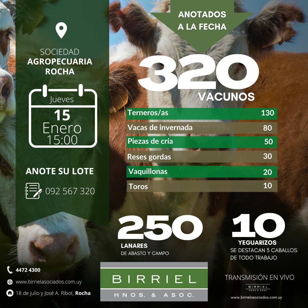 Remate 15 de Enero - Sociedad Agropecuaria de Rocha