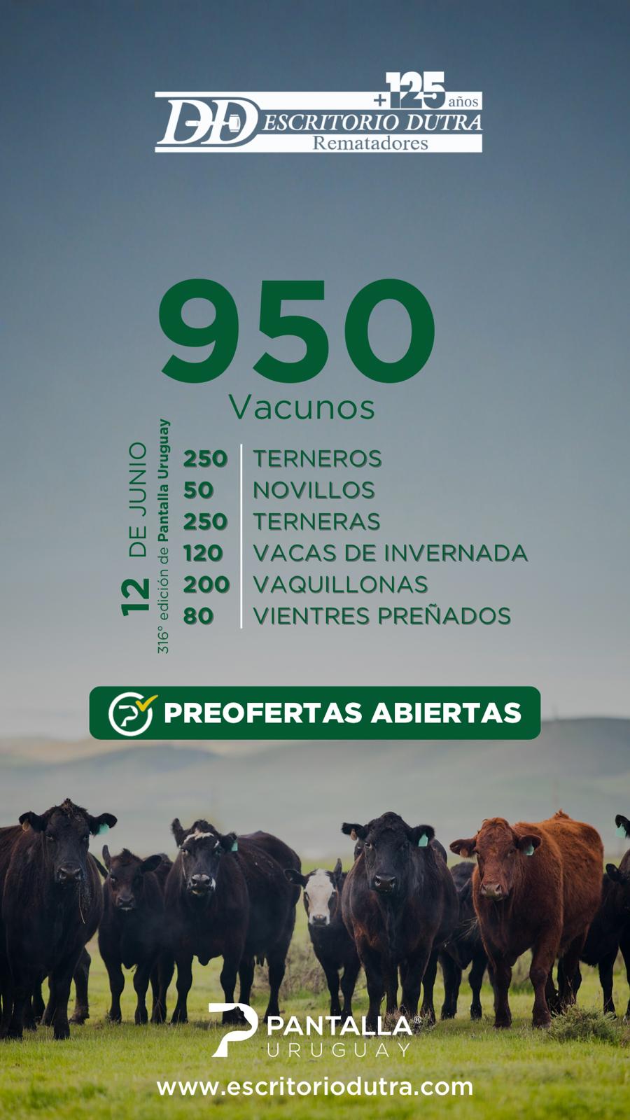 316º remate Pantalla Uruguay