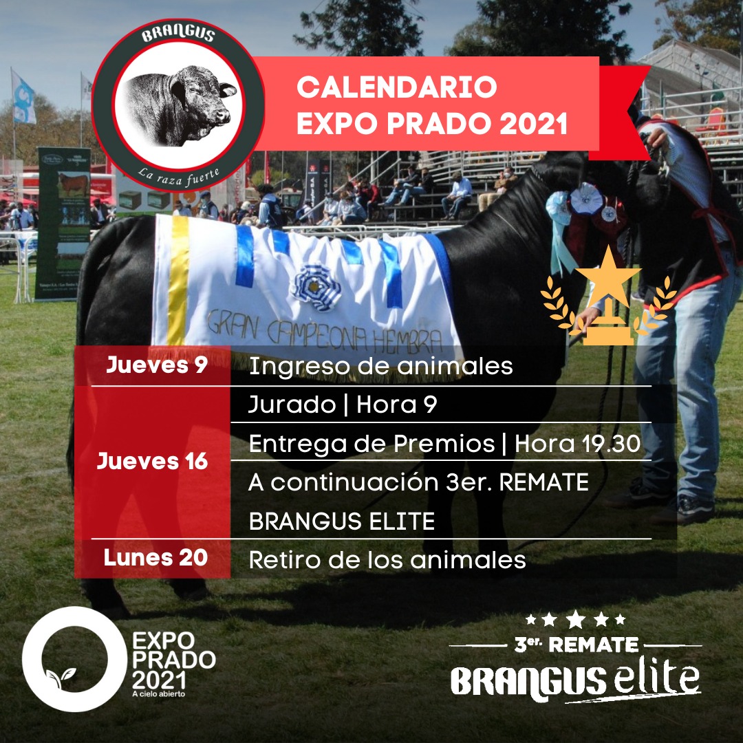 Afiche Expo Prado 2021 