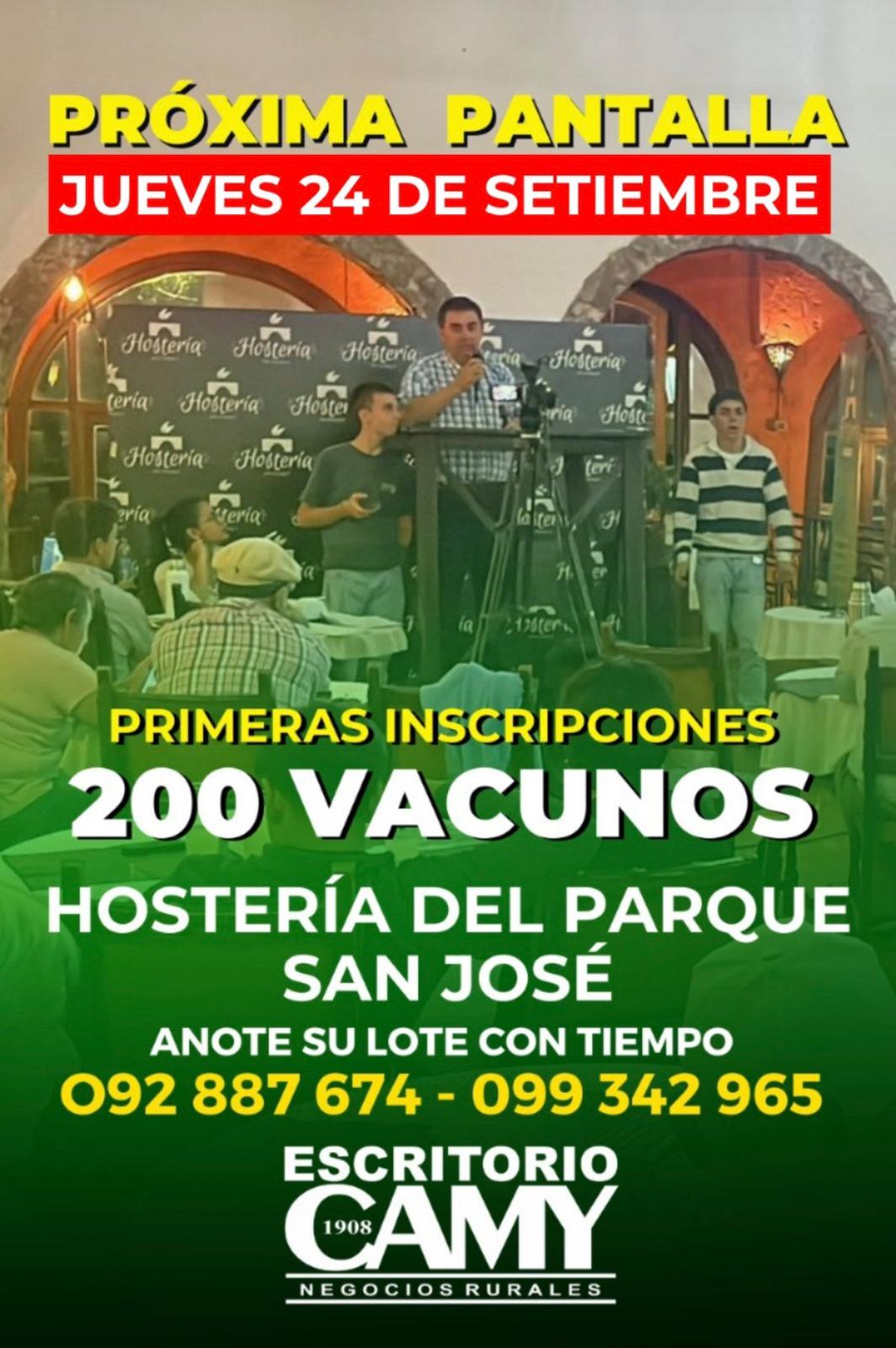 Afiche Pantalla Camy