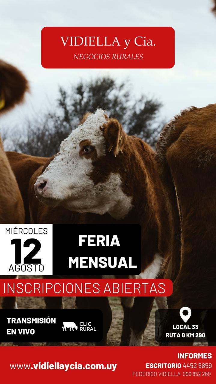 Feria mensual - Vidiella y Cia