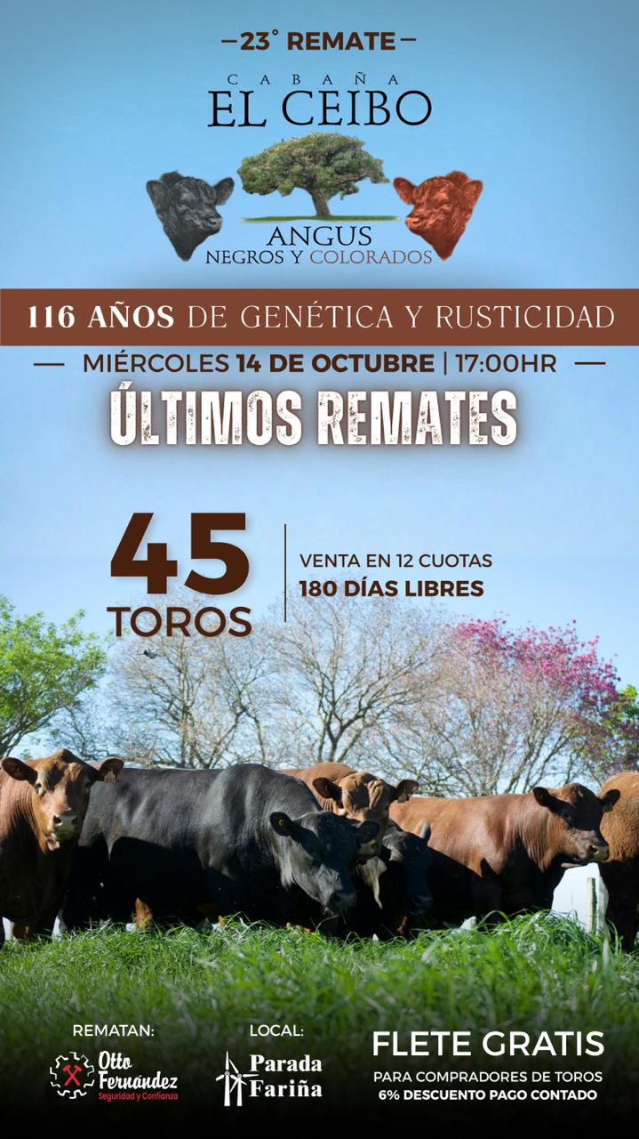 23º El Ceibo