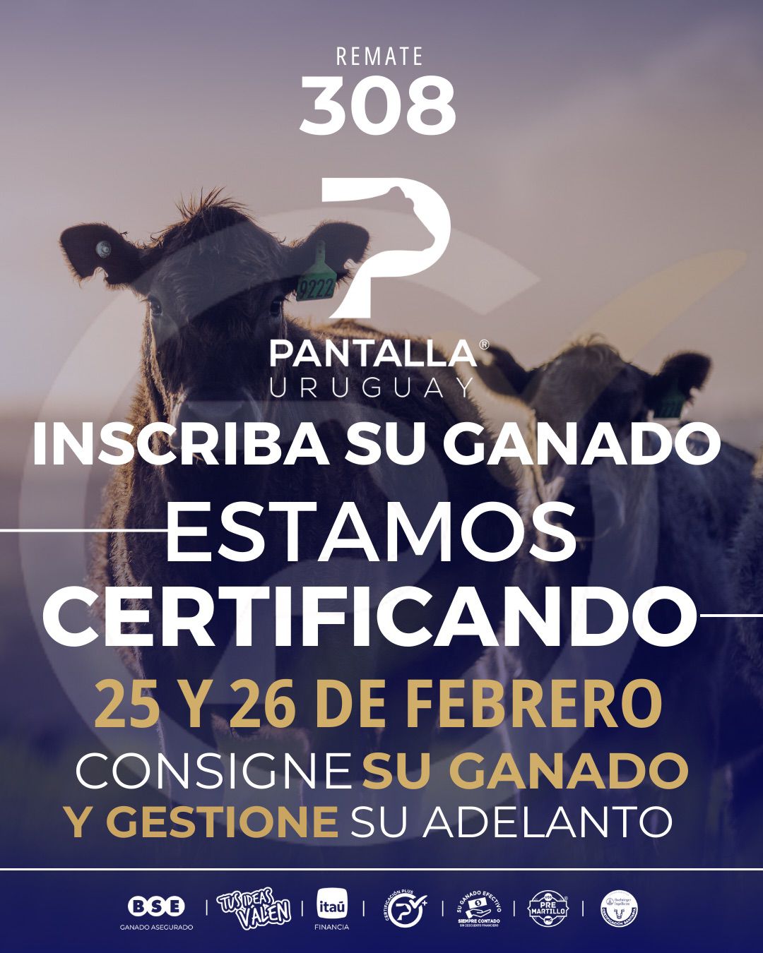 308º remate Pantalla Uruguay