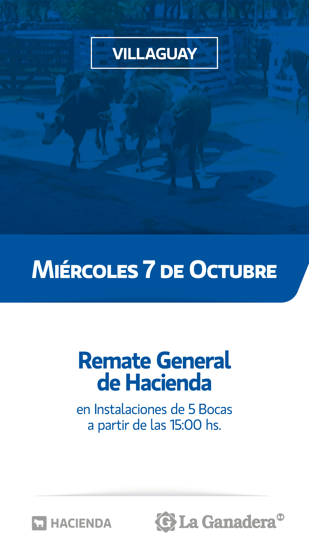 Afiche REMATE FERIA 5 BOCAS - PASO DE LA LAGUNA