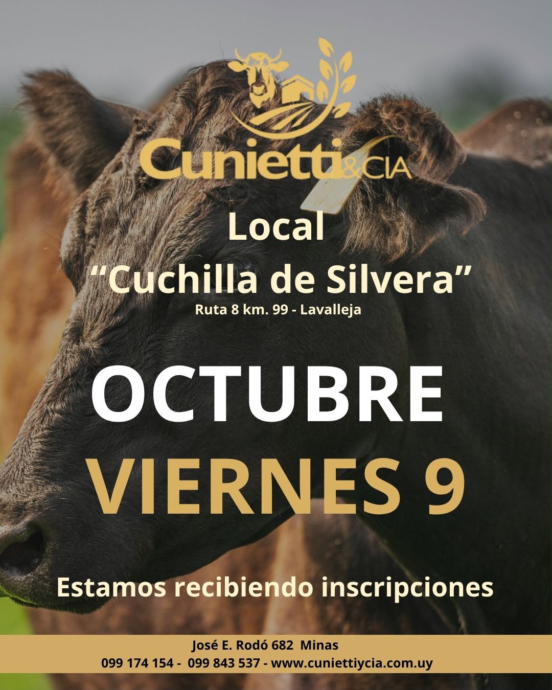Afiche Feria mensual - Cunietti y Cia