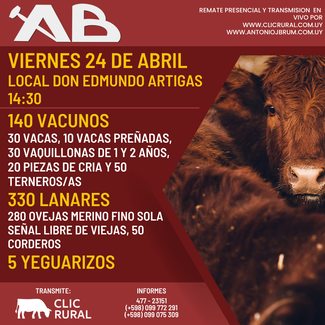 Afiche Feria Mensual - Antonio J Brum