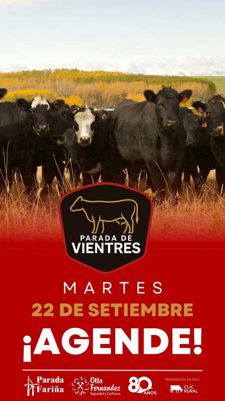 Remate Parada de Vientres