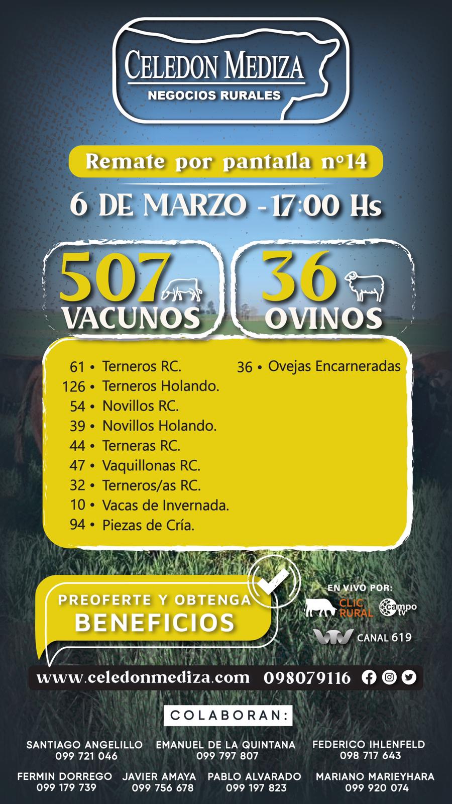 Afiche 14 remate por pantalla - Celedón