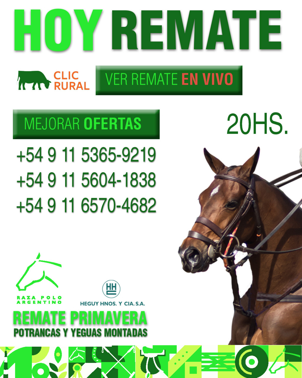Afiche Remate Primavera 2021 - Asociación Argentina de Criadores de Caballos de Polo