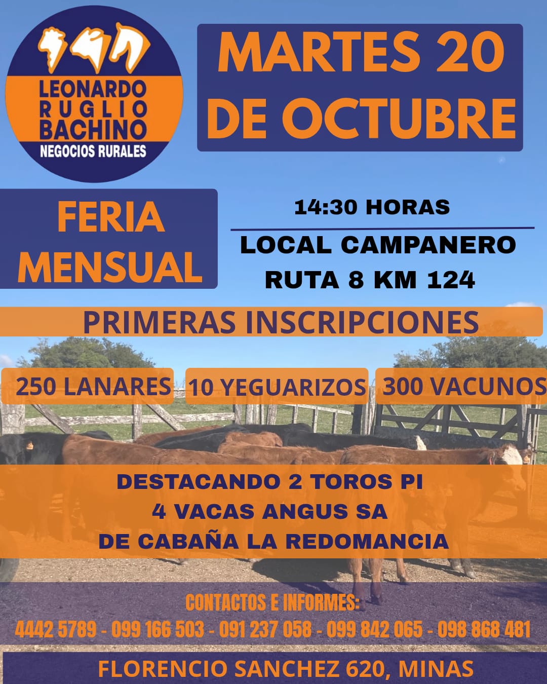 Afiche Feria mensual - Leonardo Ruglio Bachino
