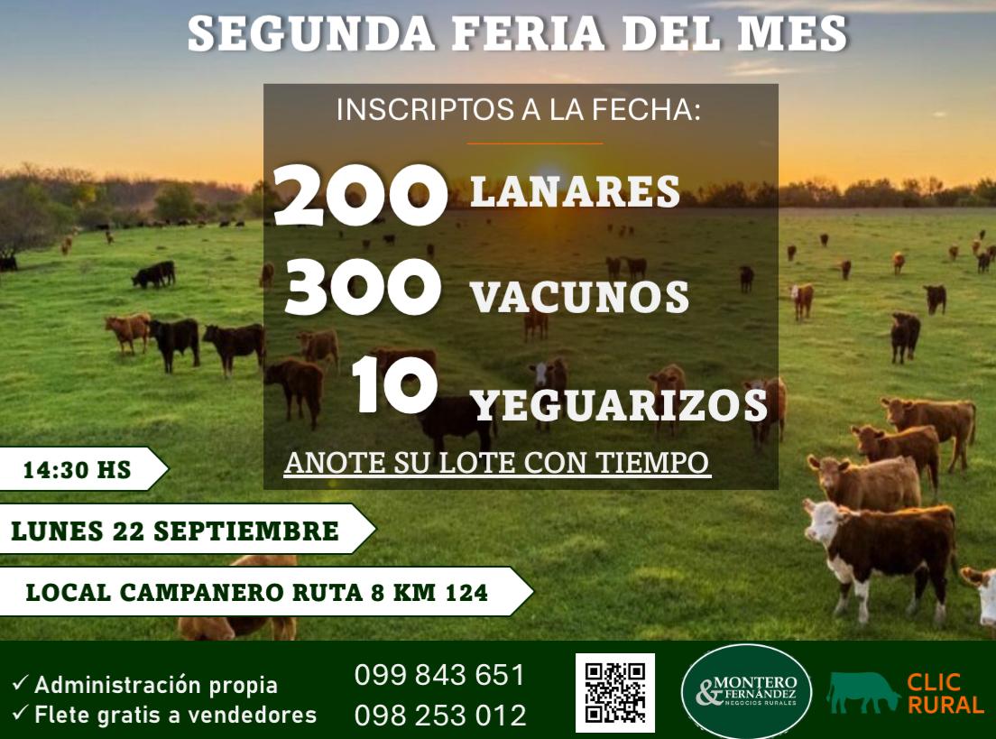 Remate Feria Mensual - Montero Fernandez