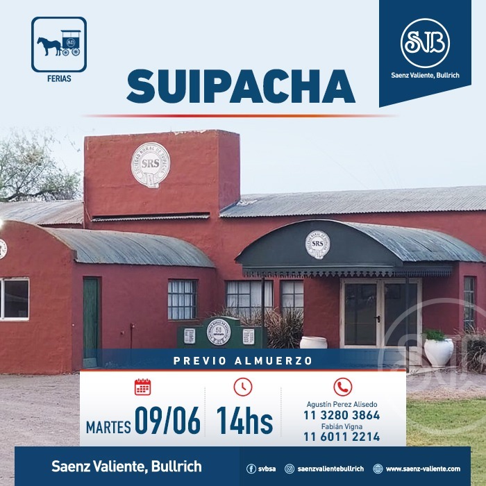 Feria en Suipacha