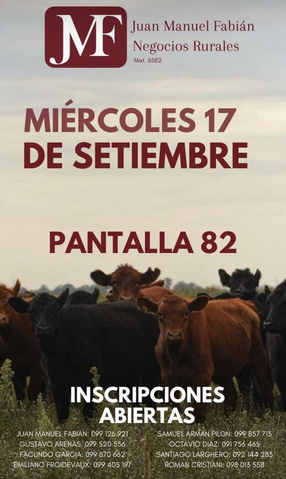 Remate #82 Pantalla JMF