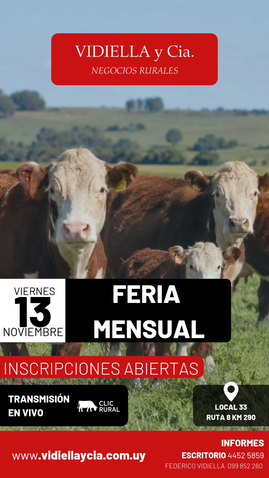 Afiche Feria mensual - Vidiella y Cia