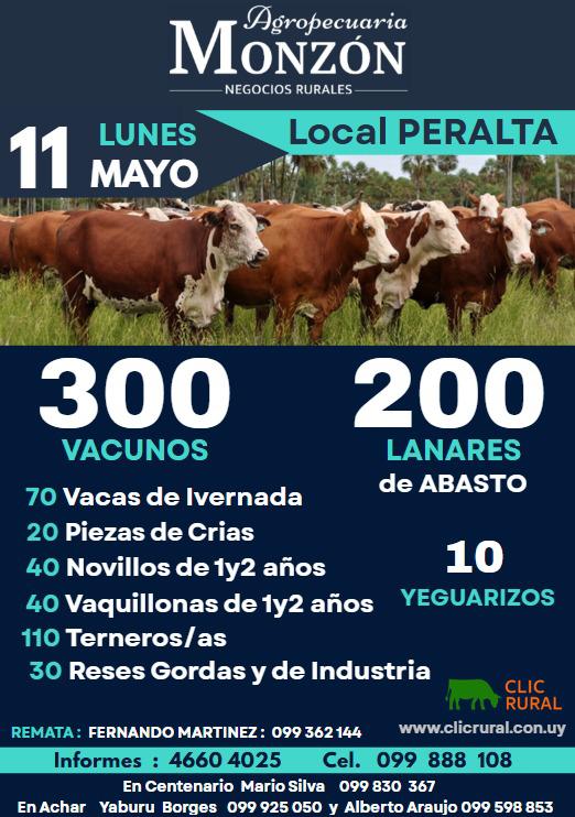 Remate Feria Mensual - Agropecuaria Monzon