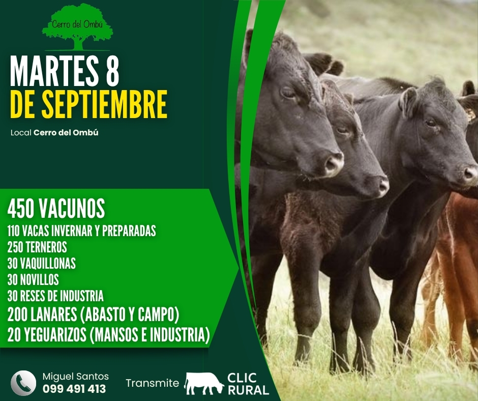 Feria mensual - Cerro del Ombu