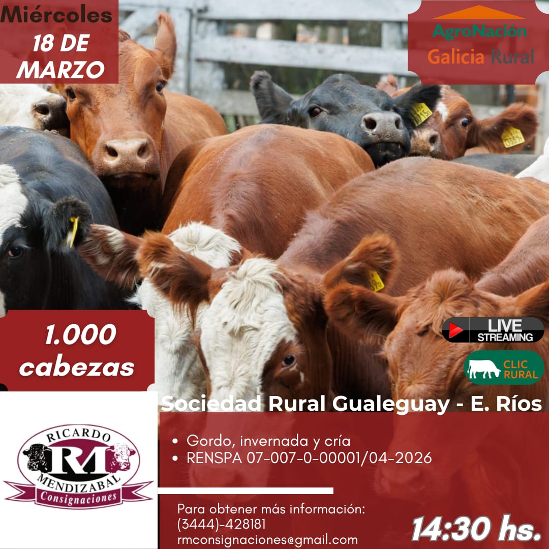 Remate 18 de Marzo - Gualeguay