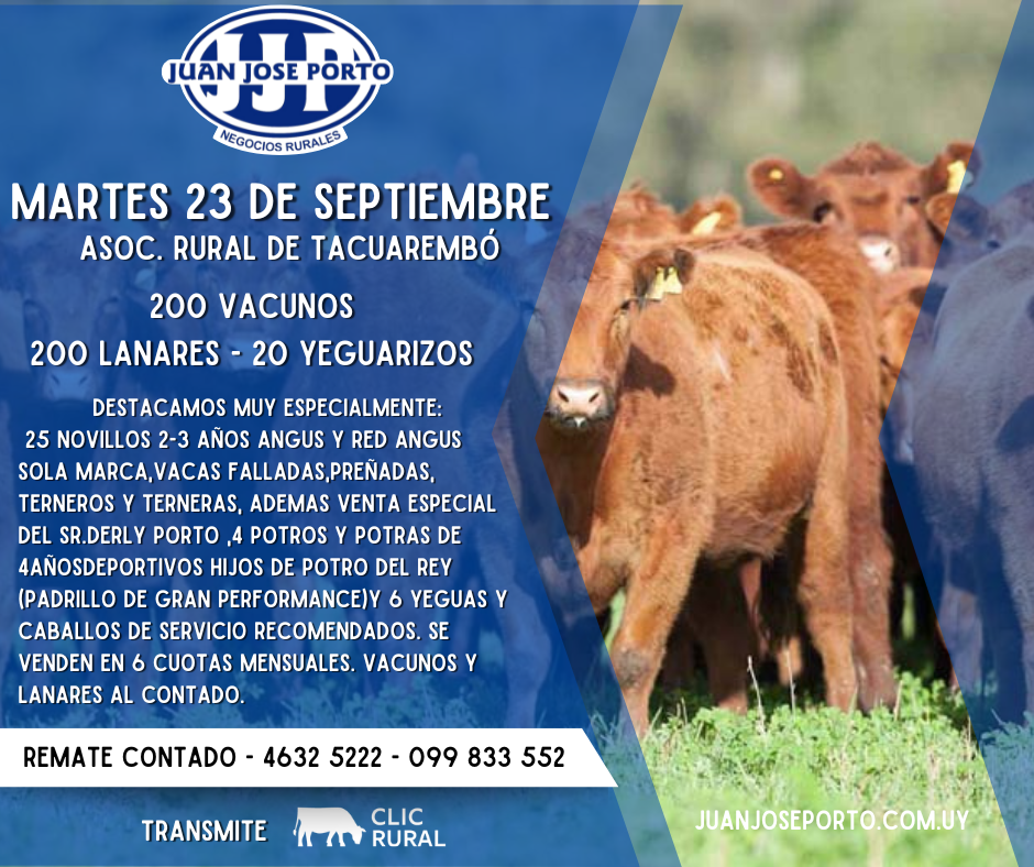 Remate Feria Mensual - Juan Jose Porto