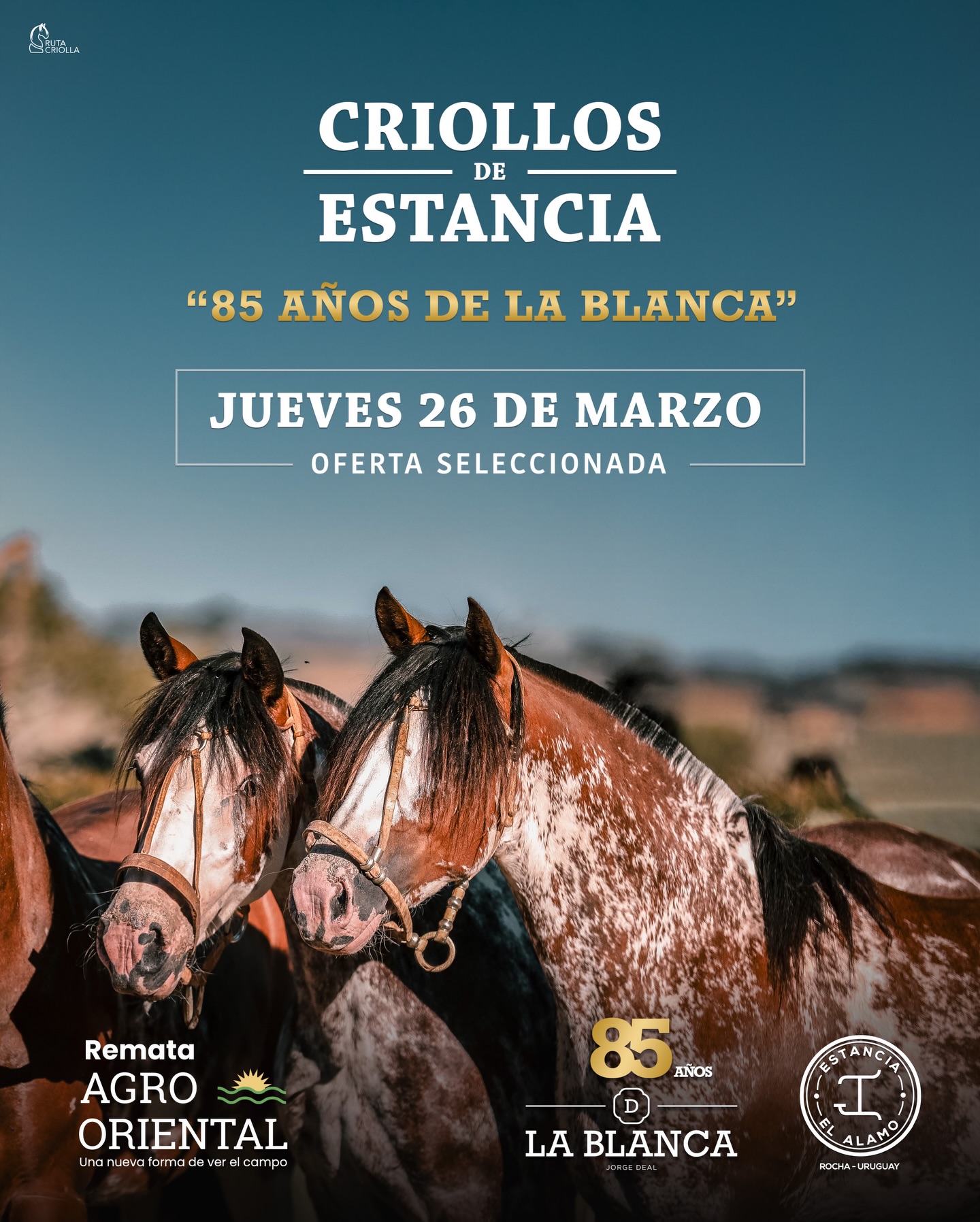 Remate Criollos de Estancia