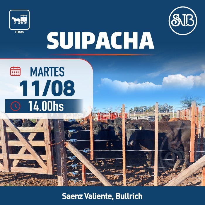 Afiche Feria en Suipacha
