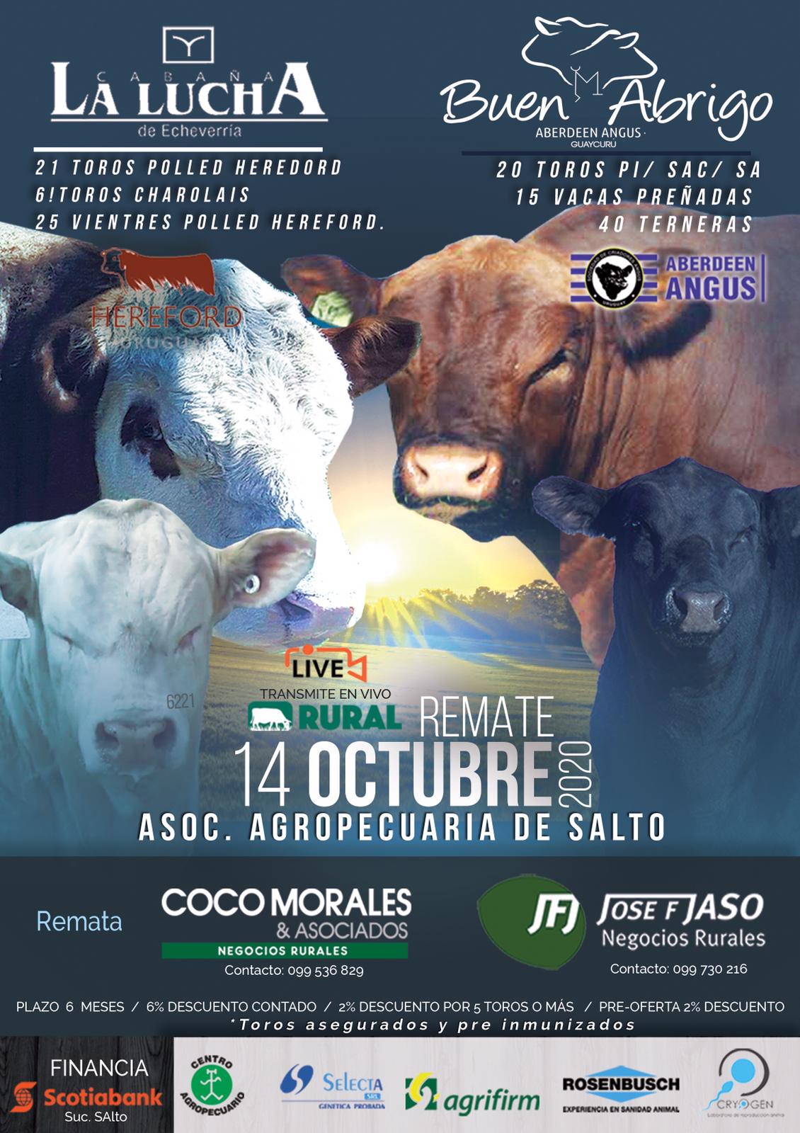 Afiche 2do remate anual - La Lucha - Buen Abrigo - Salto