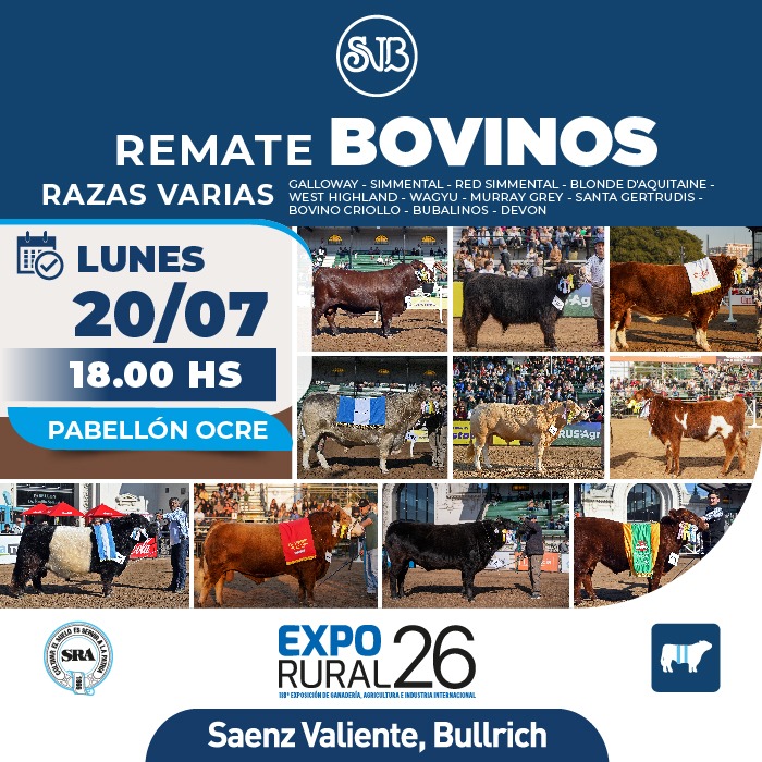 Bovinos - Razas varias