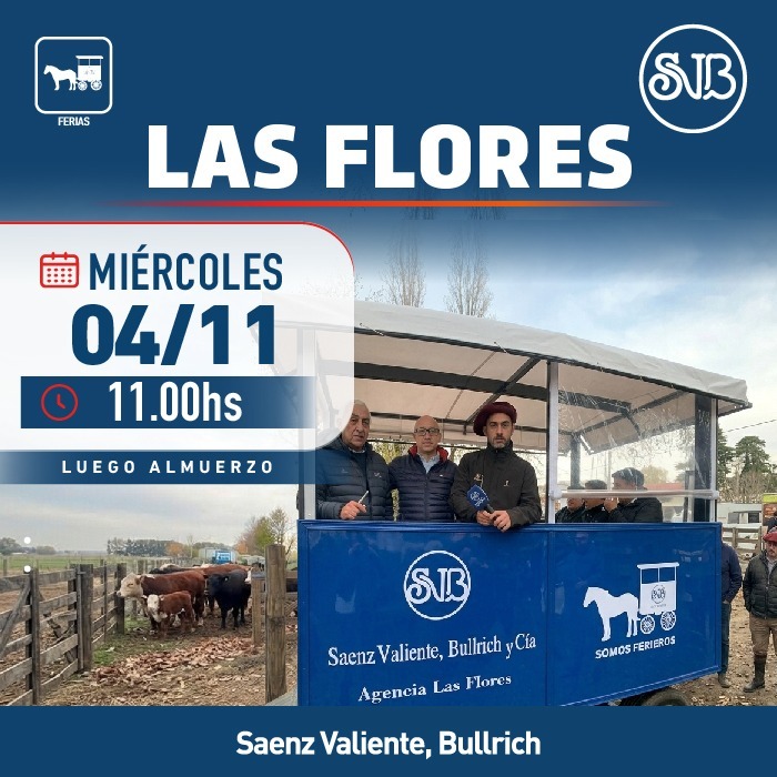 Afiche Feria en Las Flores