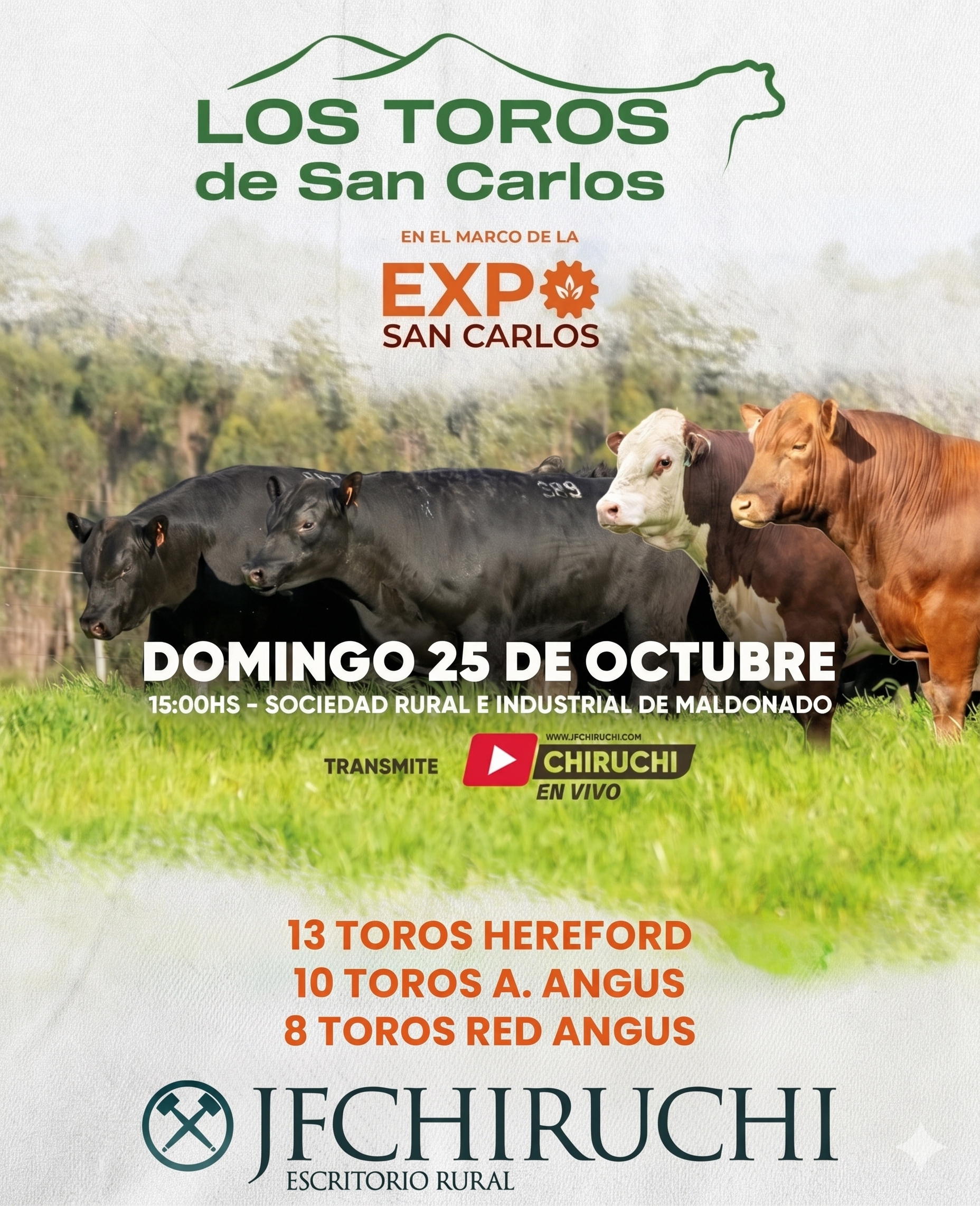 LOS TOROS DE SAN CARLOS