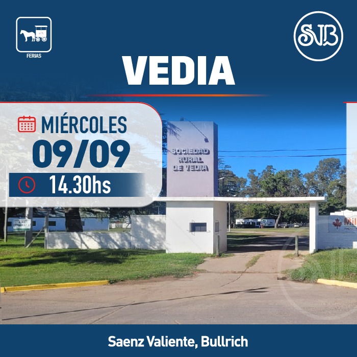 Afiche Feria en Vedia