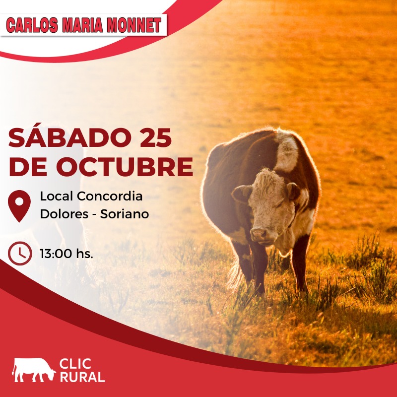 Remate Feria en Local Concordia