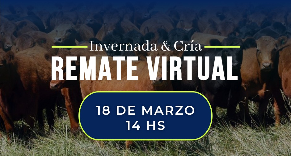 50° Remate virtual