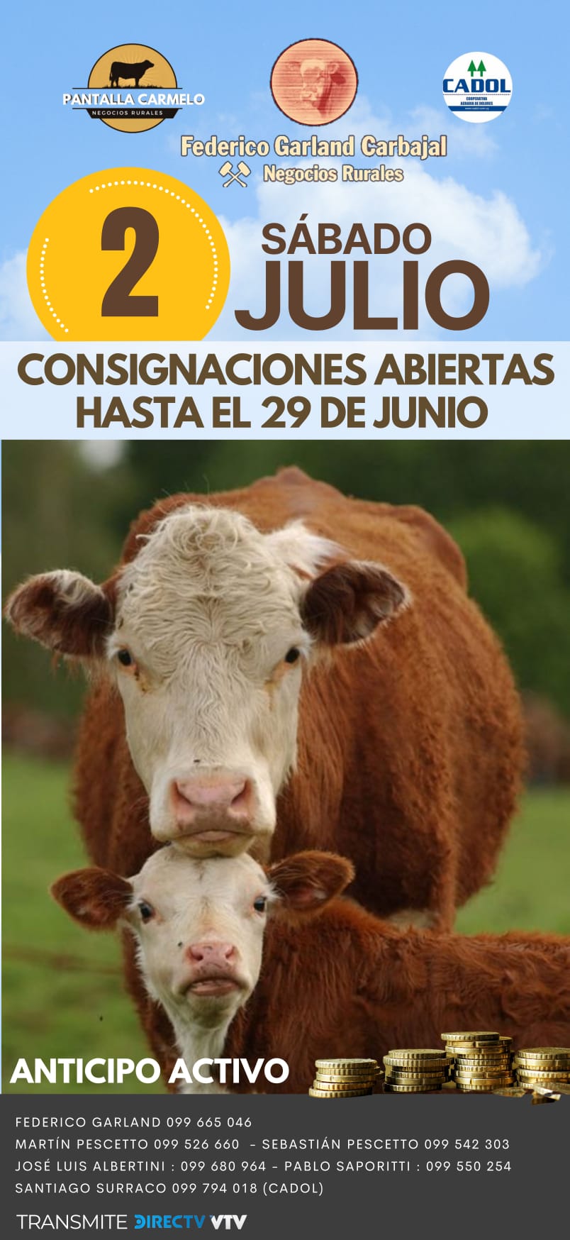 Afiche PANTALLA GARLAND