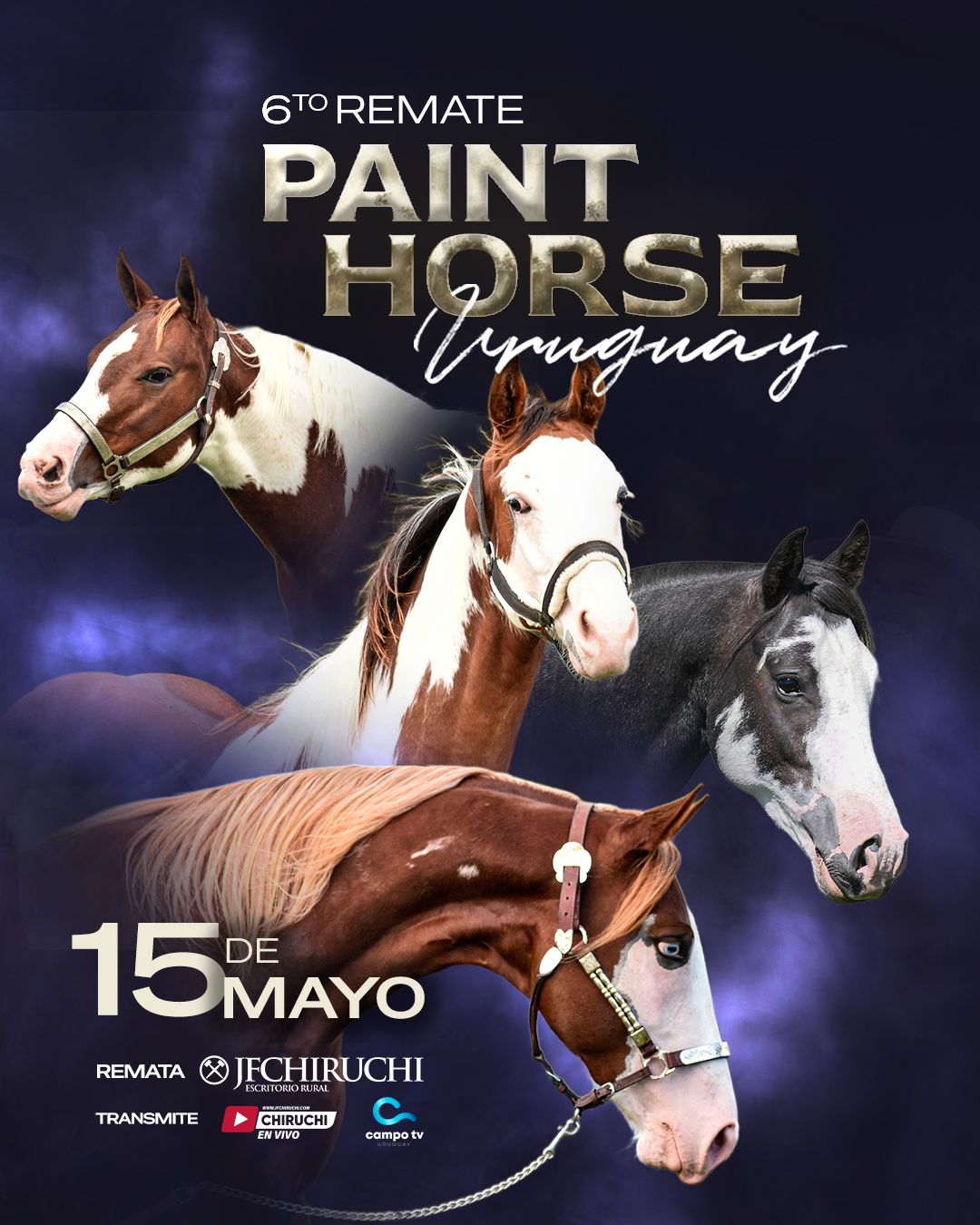 Remate 6TO REMATE PAINT HORSE URUGUAY