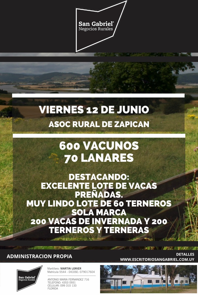 Remate Feria Mensual - Asoc Rural de Zapican