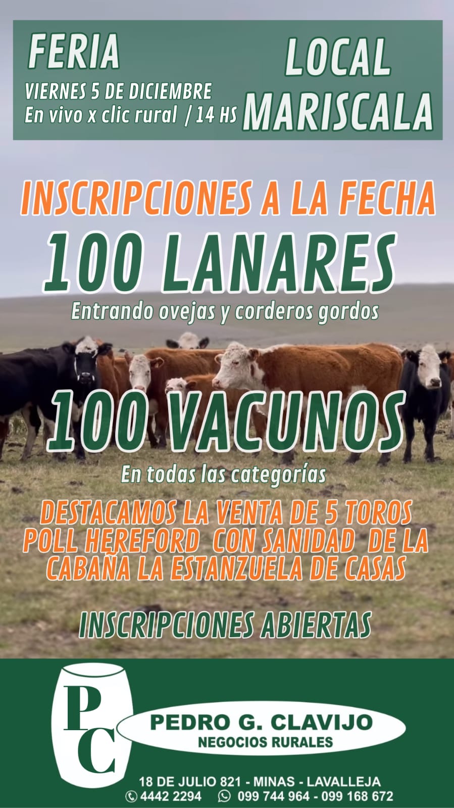 Remate Feria Mensual - Mariscala