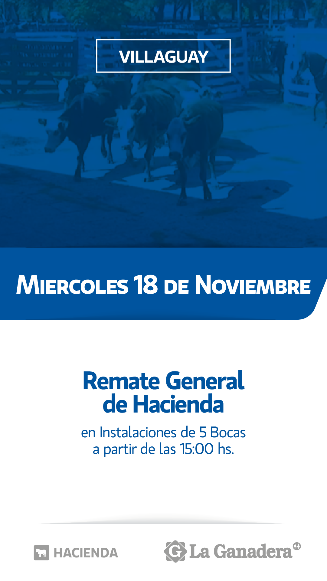 Afiche REMATE FERIA 5 BOCAS - PASO DE LA LAGUNA