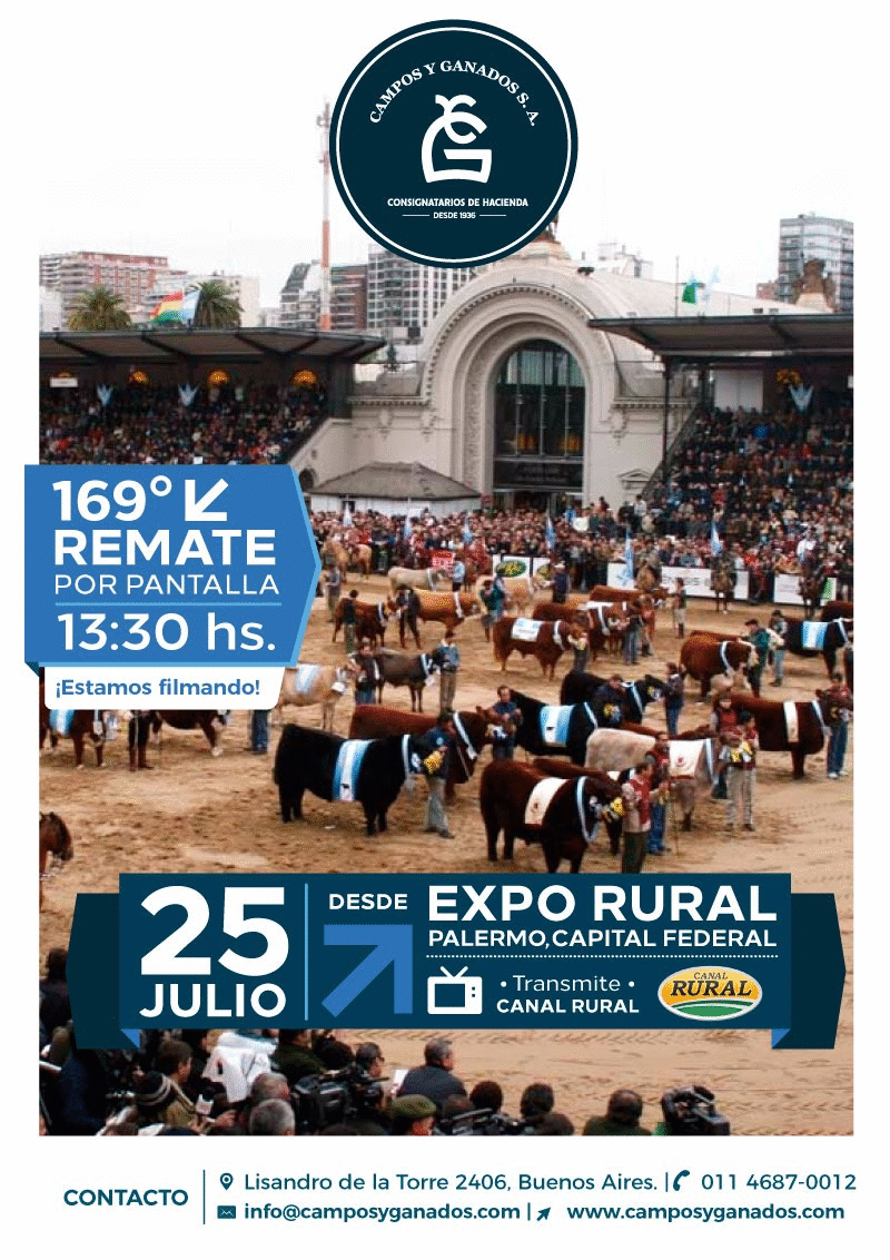 Afiche 169 remate televisado - desde Expo Rural
