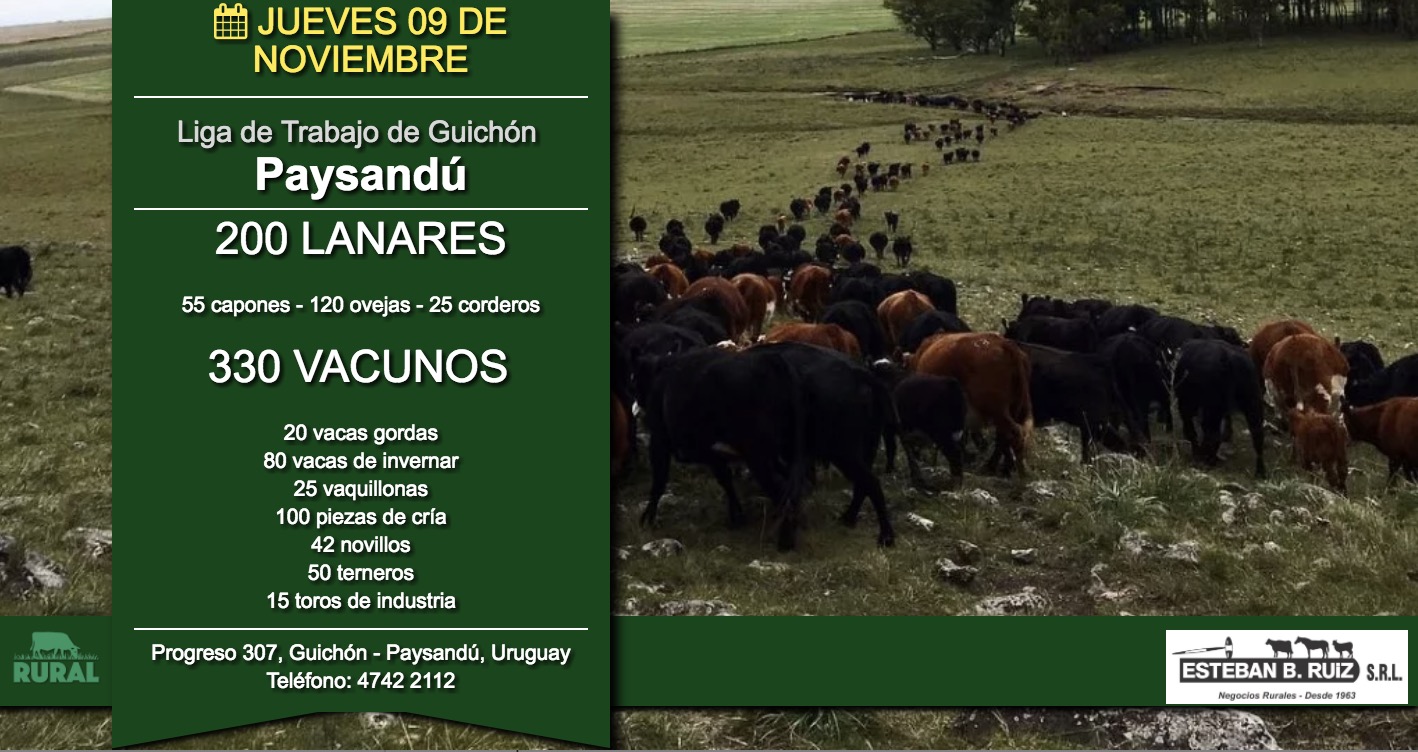 Afiche Liga de Trabajo de Guichón