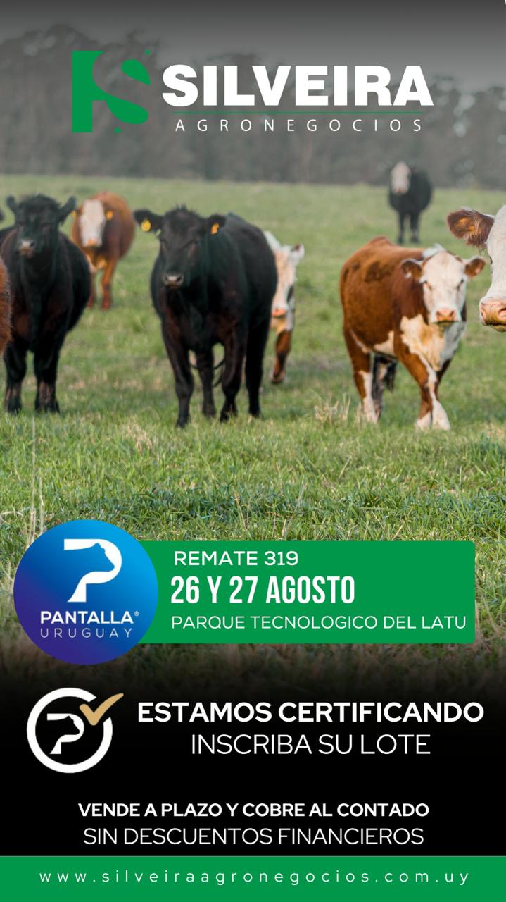 319º remate Pantalla Uruguay