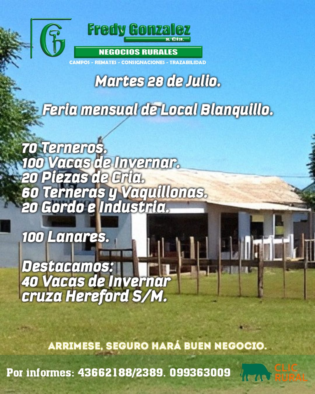 Remate Feria mensual en Local Blanquillo 