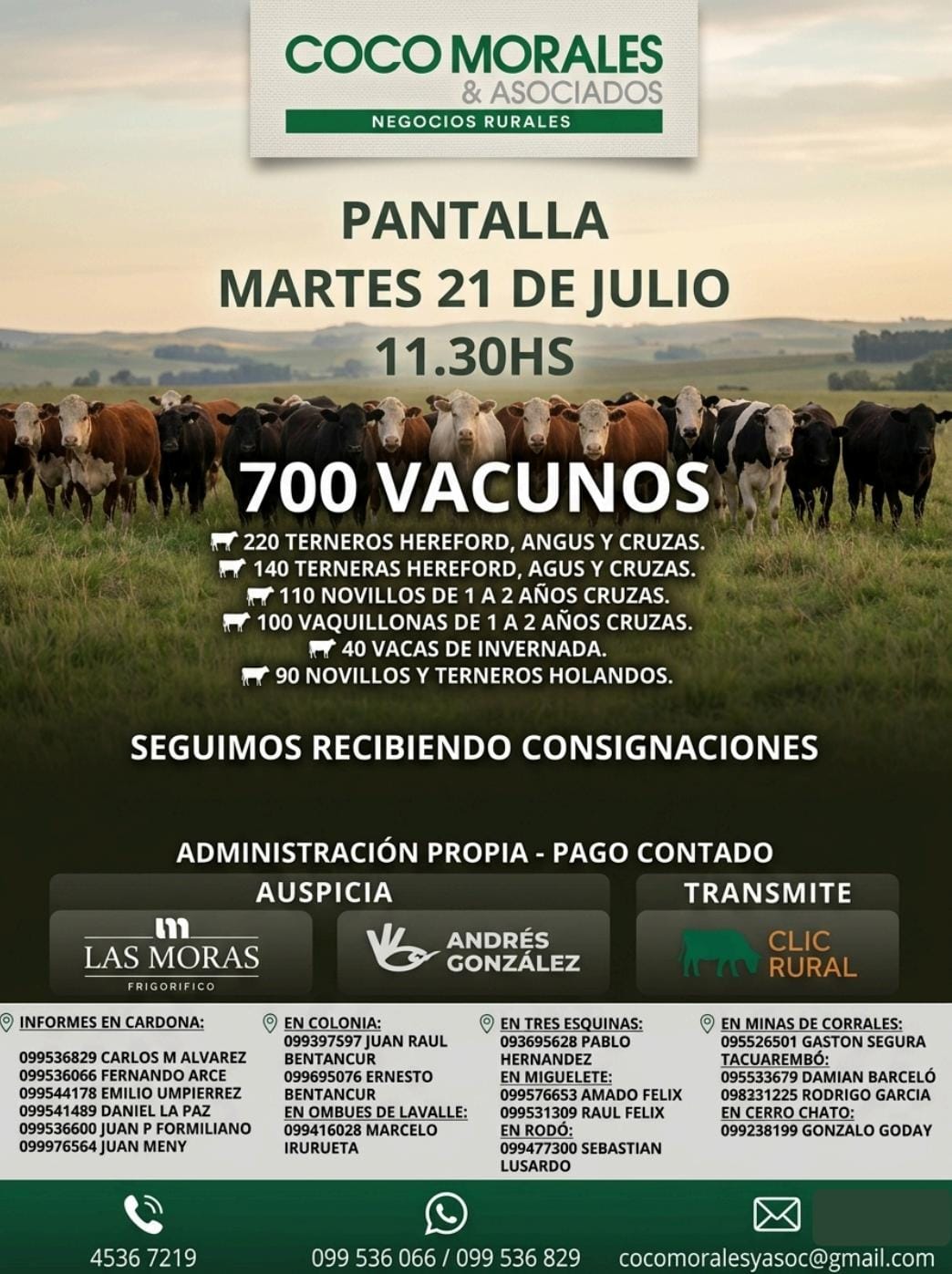 Pantalla Coco Morales