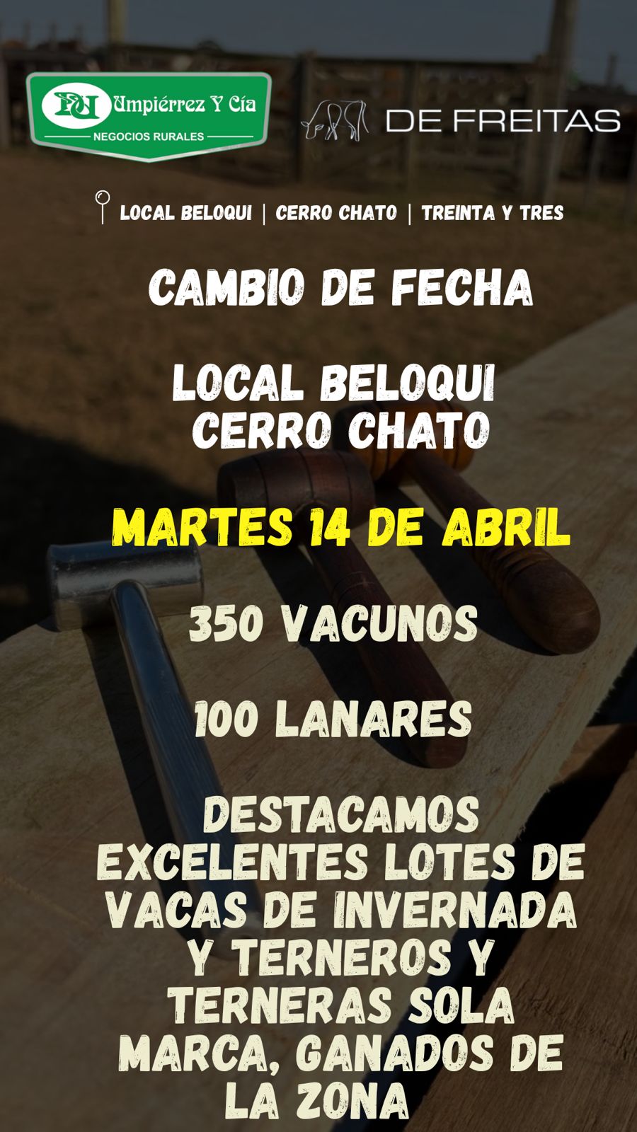 Remate Feria Mensual - Umpierrez y Cia