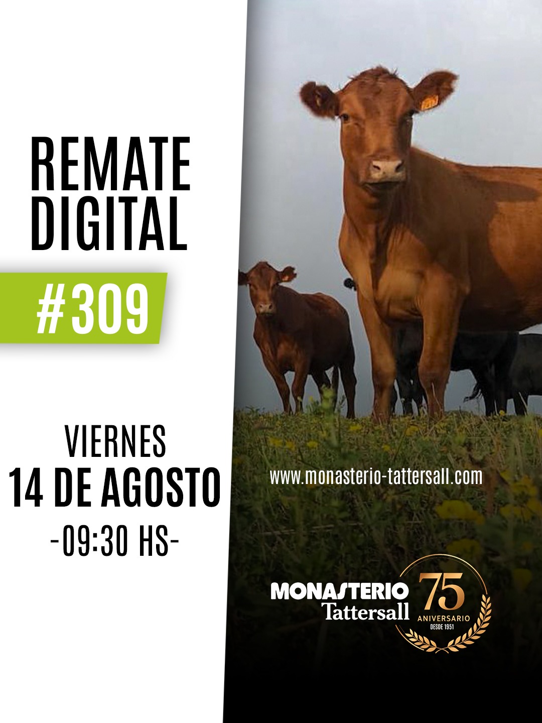 Remate Remate digital 309°