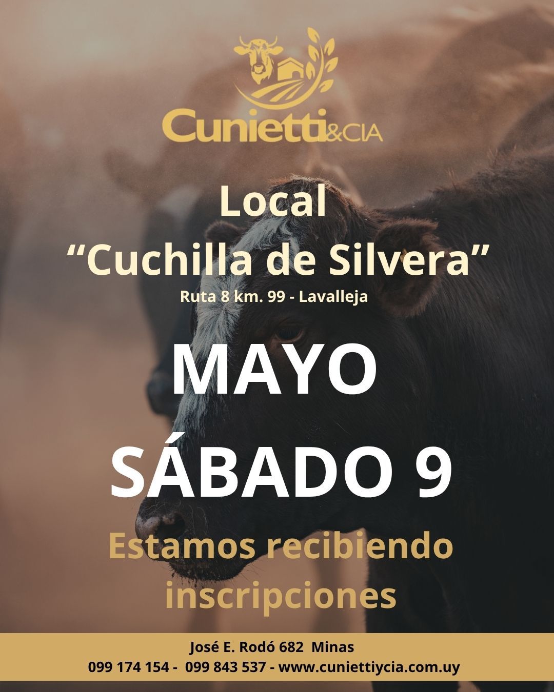 Feria - Sabado 9