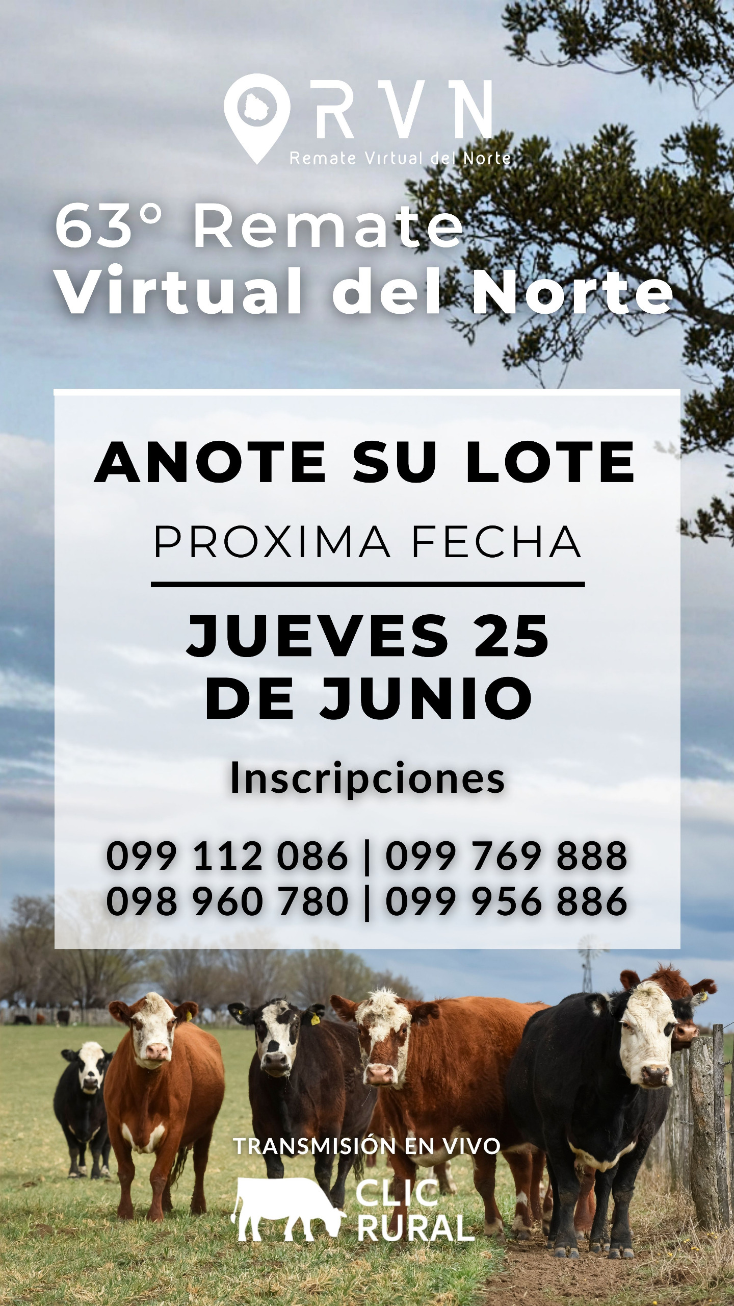 63º Remate Virtual del Norte