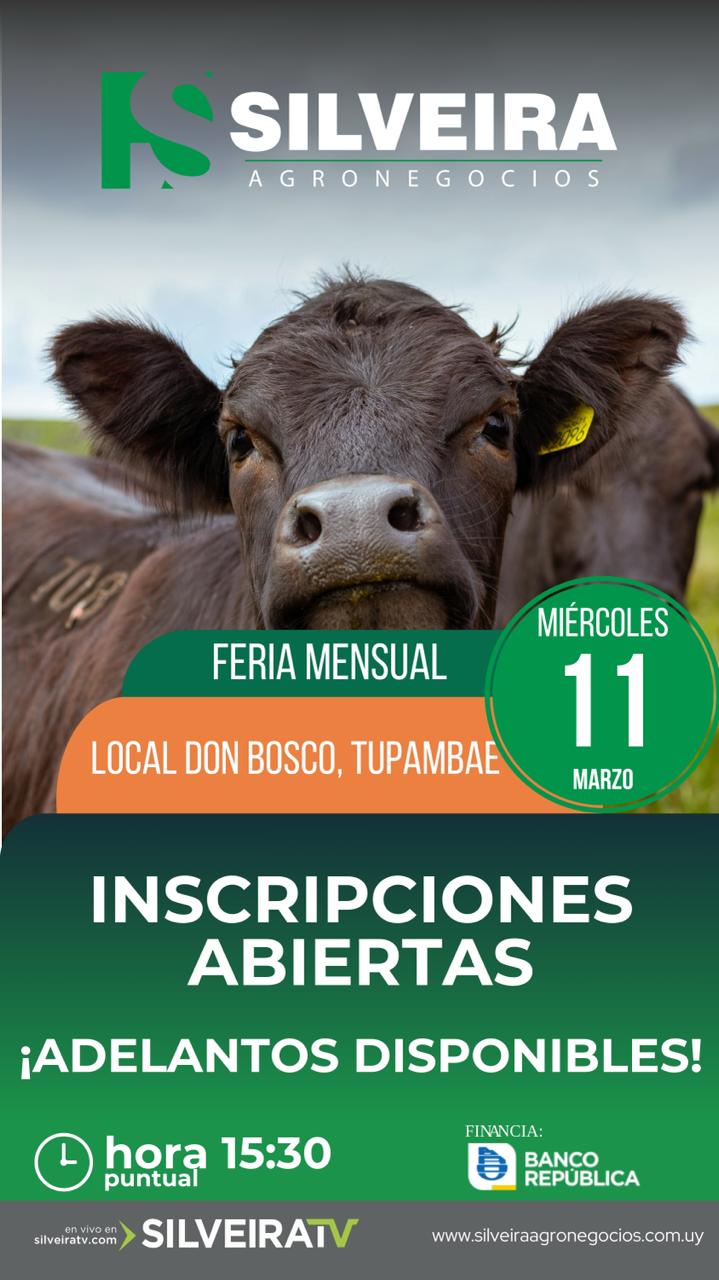 Feria Mensual - Silveira Agronegocios